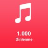 1.000 Dinlenme
