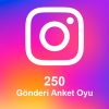 250 Gönderi Anket Oyu