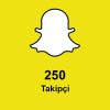 250 Takipçi