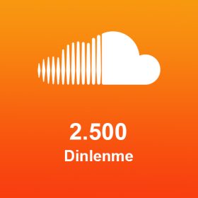 2.500 Dinlenme