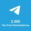 2.500 Aylık Oto Post Görüntülenme
